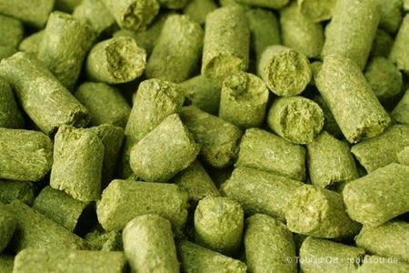 Bild für Kategorie Aromahopfen