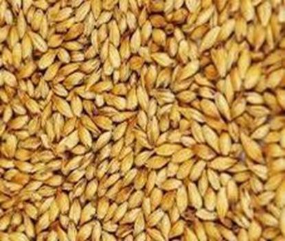Bild von CARABOHEMIAN 5 kg ganz 190 - 210 EBC