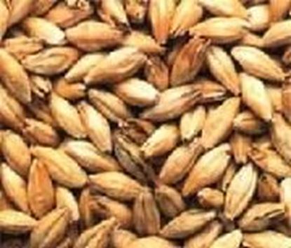 Bild von Biscuit geschrotet 1 kg 40-55 EBC