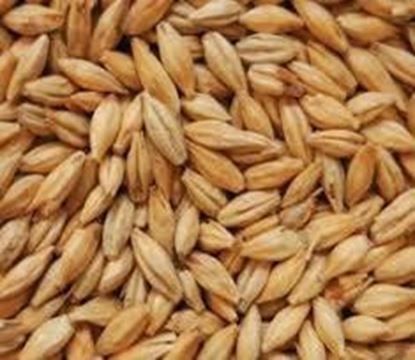 Bild von CARAHELL 1 kg geschrotet 20 - 30 EBC