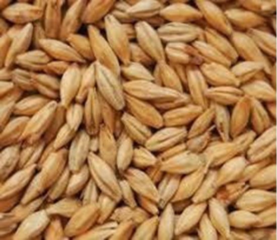 Bild von CARAHELL 1 kg geschrotet 20 - 30 EBC