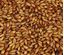 Bild von SPEZIAL B 1 kg ganz 350 EBC