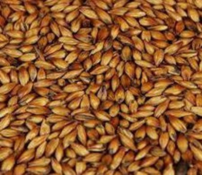 Bild von SPEZIAL B 1 kg geschrotet 350 EBC