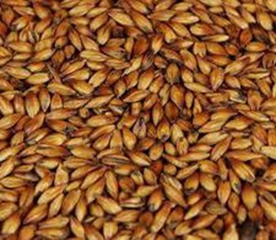 Bild von SPEZIAL B 1 kg geschrotet 350 EBC
