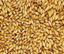 Bild von CARABOHEMIAN 1 kg geschrotet 190 - 210 EBC