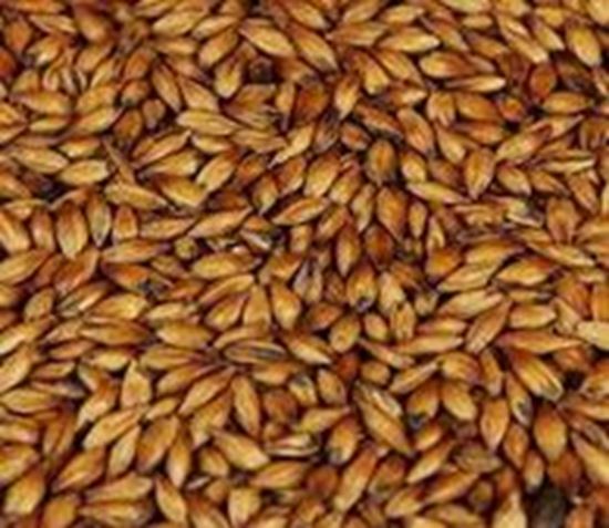 Bild von Aroma Malz 1 kg geschrotet 150 EBC