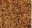 Bild von Aroma Malz 1 kg geschrotet 150 EBC