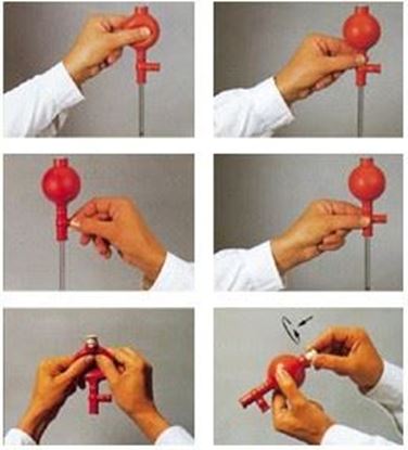 Bild von Pipettierball für Pipetten