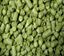 Bild von Amarillo (US) 100 g Hopfenpellets
