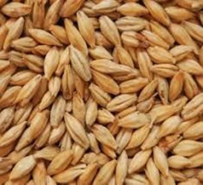 Bild von Dunkles Böhmisches Tennenmalz 12-20 EBC  1 kg geschrotet