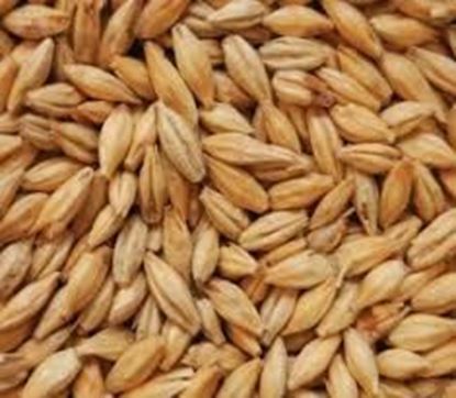 Bild von Dunkles Böhmisches Tennenmalz 12-20 EBC  5 kg ganz