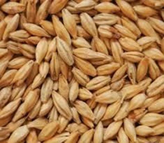 Bild von Dunkles Böhmisches Tennenmalz 12-20 EBC  5 kg ganz
